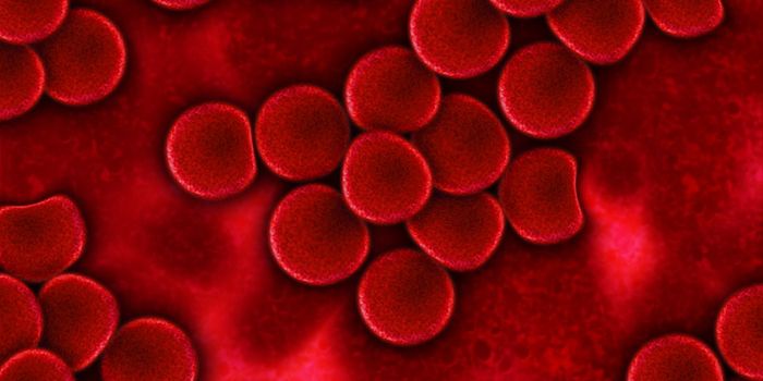 Red Blood Cells Equipped to Carry Autoimmune Disease Treatments