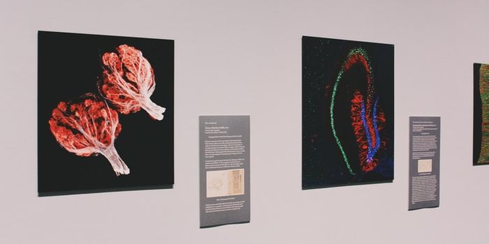 Technology Lights The Way For Safer Imaging Techniques