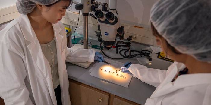 Lunar Magnetism Mystery: Stanford Study Dispels Contamination Concerns in Sample-Return Missions