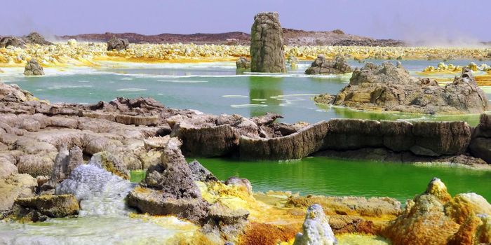 Scientists Find the Limits of Life in an Extreme Environment