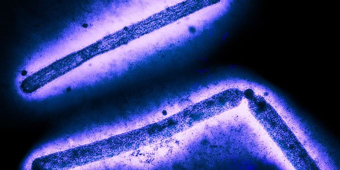 Gene Editing Might Help Stop the Spread of Bird Flu