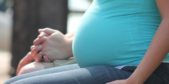Stress During Pregnancy may Influence Child's Lifespan