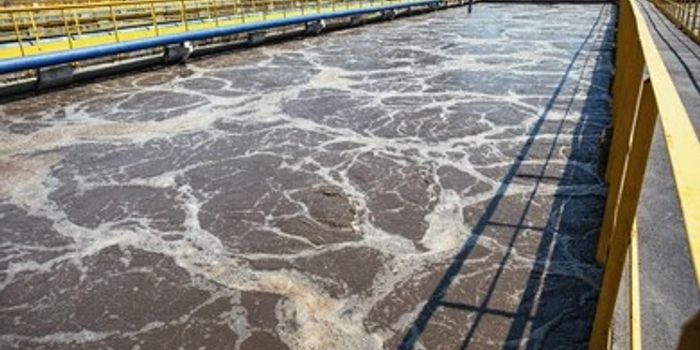 New 'future-proof' method could remove phosphorus from wastewater using bacteria