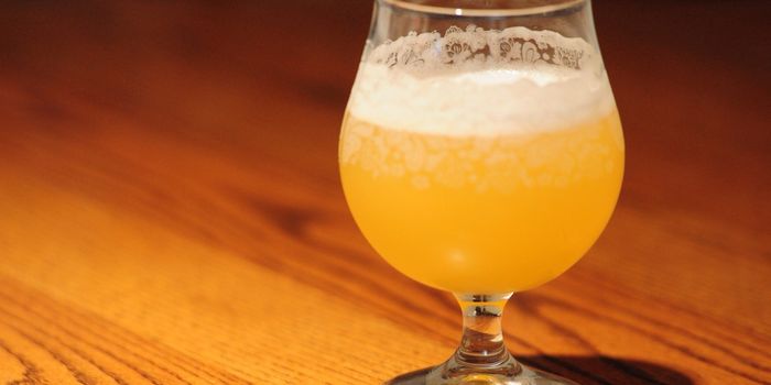 The sour beer microbiome