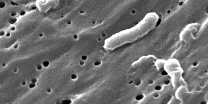 Cholera Bacteria Versus Virus - An Ongoing Evolutionary Battle