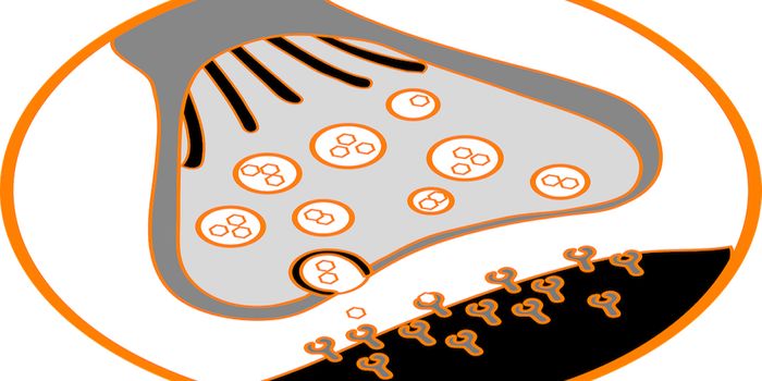 New Path to Gene Therapy for ALS