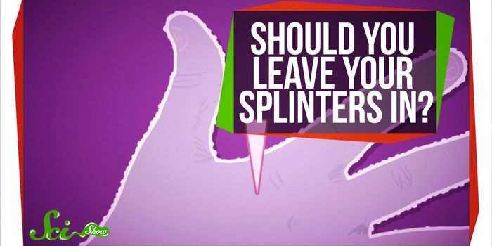 How Your Immune System Reacts to a Splinter