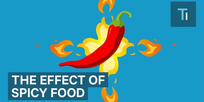 Caliente! It's Your Brain that Can't Take the Heat