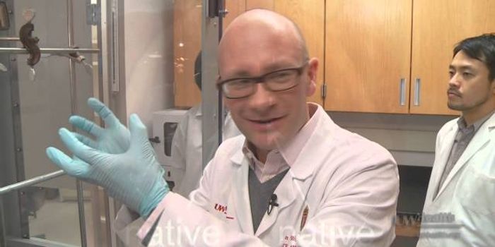 Lab-Grown Vocal Cords Can "Talk"