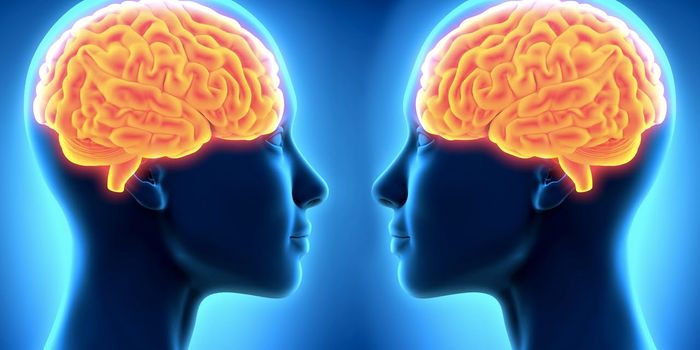 Artificial Neurons Could Improve Brain Functions