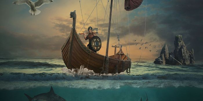 The Vikings Were More Genetically Diverse than their Modern Counterparts