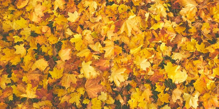 Moral Values Change with the Season in America