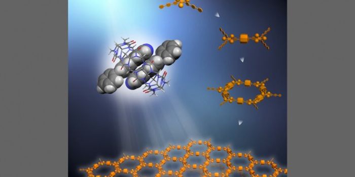 Soluble 2-D Supramolecular Frameworks