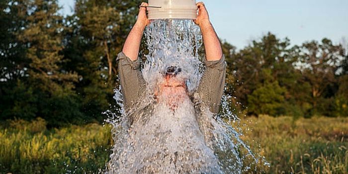 Study on Neuron Death Could Help ALS Patients