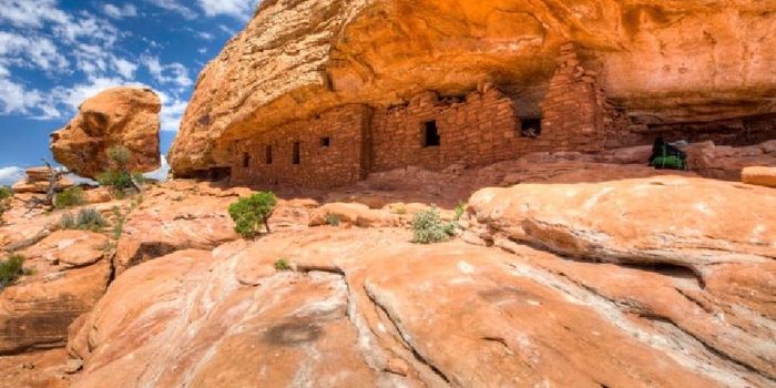 Bears Ears and Grand Staircase-Escalante more than halved