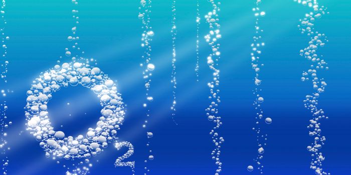 Aerobic respiration helps gut pathogens fluorish