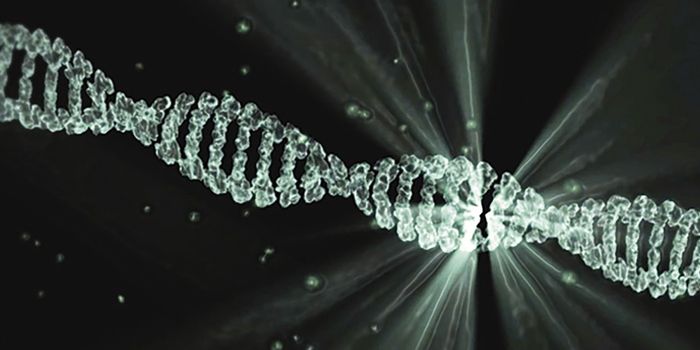 DNA Maintenance Problems may Underlie Some Diseases