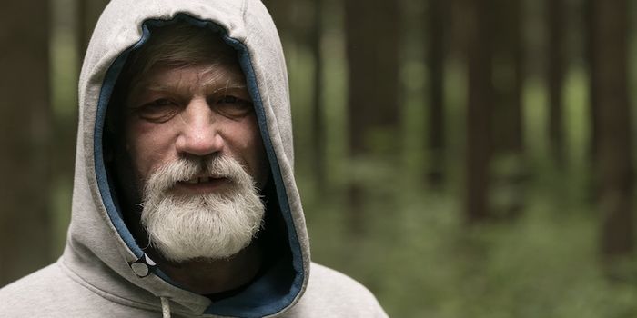 Few Differences in Brain Morphology Amongst Older Cannabis Smokers