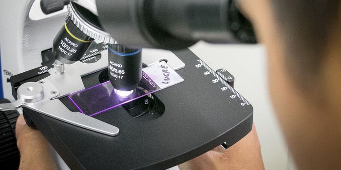 Genetic Discovery Regulates Immune Cell Function