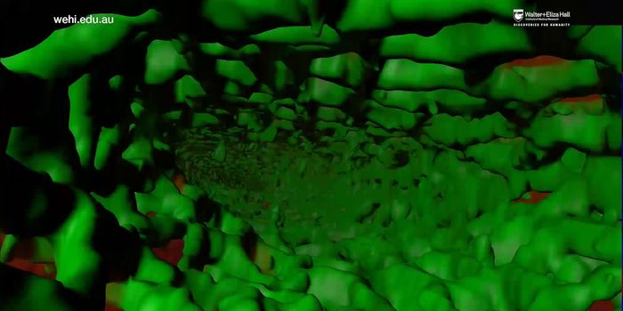 Imaging Tool Provides New Insight Into Breast Cancer Formation