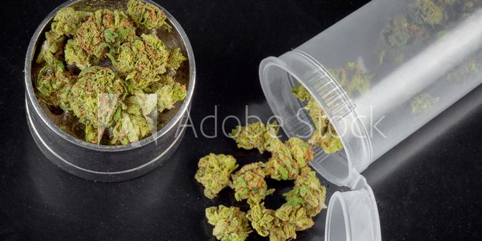 CBD and THC Effects on the Brain