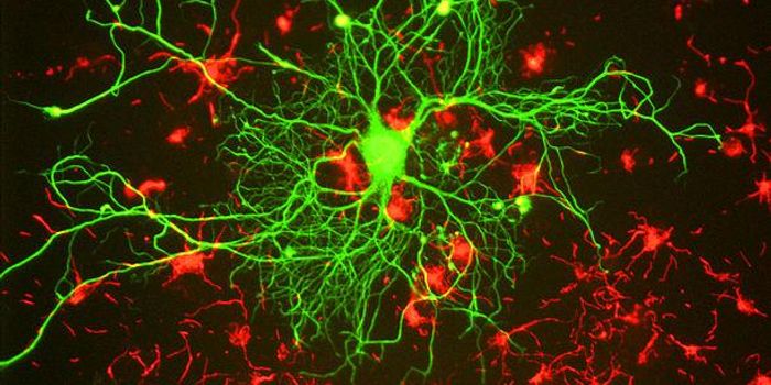 Cluttered Cellular Highways