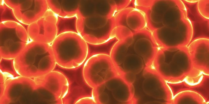 How Bacteria Can Keep Intestinal Inflammation in Check