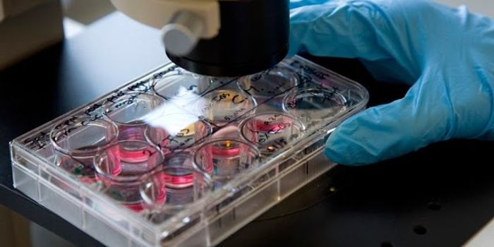 A New Cancer Drug That Melts Away Tumors?