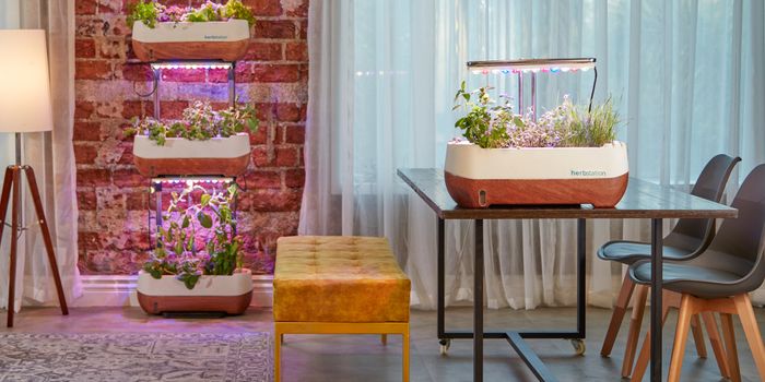 Top Hack For Growing The Best Cannabis