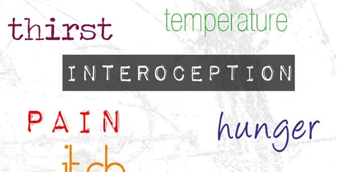 How the Brain Separates Internal and External Stimuli