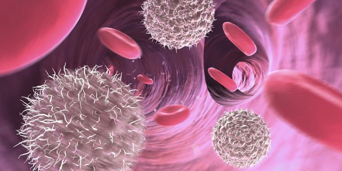 Scientists Discover New Subtype of Immune Cell