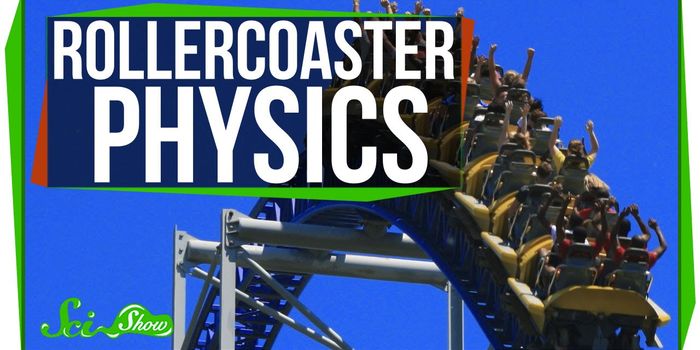 Roller Coasters and Physics
