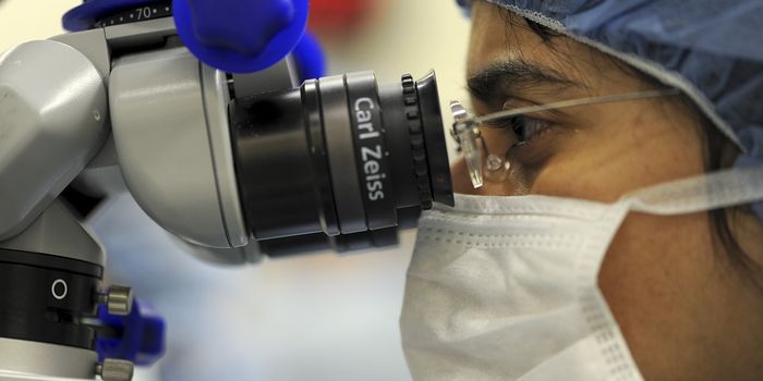 Targeting Transplant Rejection