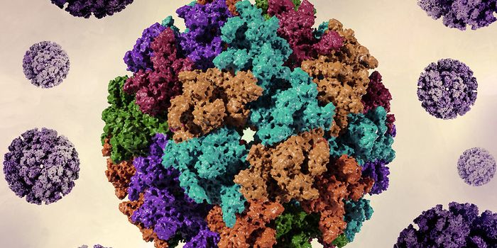 A Major Chikungunya Outbreak in China Prompts CDC Warning