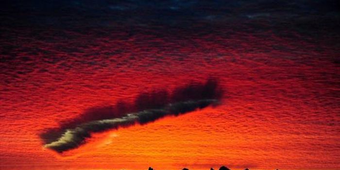 Fallstreak Hole: Stunning Rare Hole Punch Cloud Seen Twice This Week in British Columbia