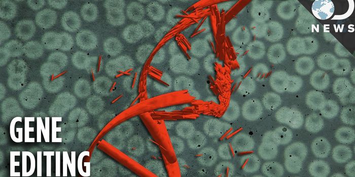 Synthetic DNA Technology Can Repair Genetic Defects