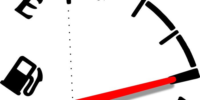 Cannabis as the Next Green Energy Source?