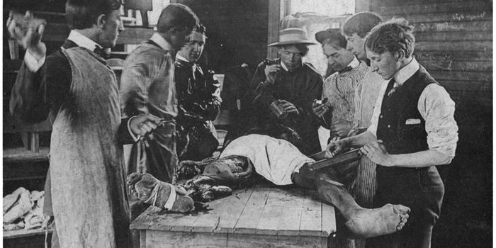 Snatching Bodies For Science