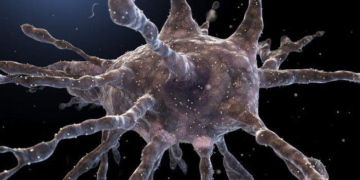 The Antigen Presenting Power of Dendritic Cells