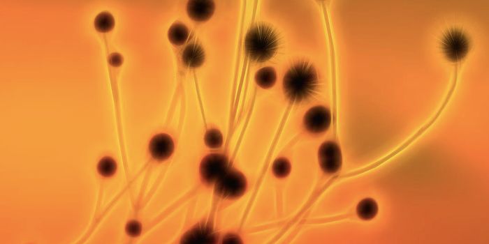 How a Cancer-Causing Virus Evades Human Immunity