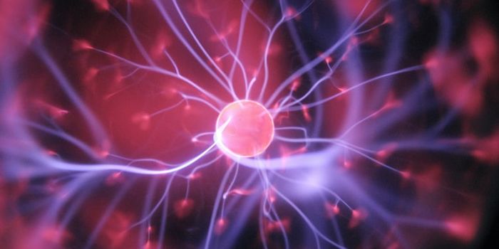 How True Is Teleportation?