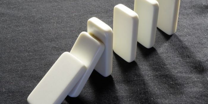 Signs of Huntington's Disease in Early Embryonic Development