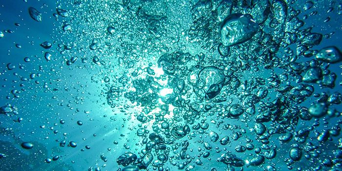 What's the Ocean's Oxygen Budget?