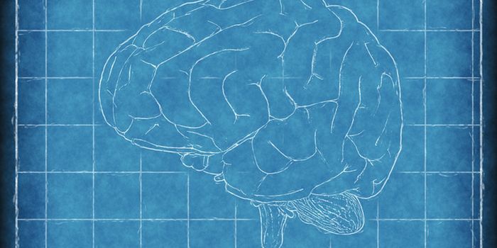 Why Defects in One Gene Can Lead to Cancer in Kids