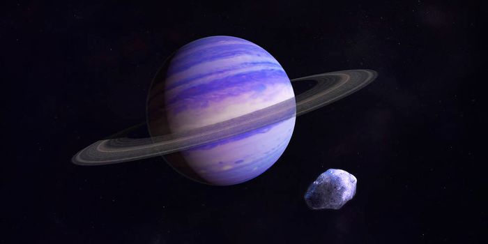 Neptune-Like Planets Are the Most Common Type of Distant Exoplanet in Other Systems