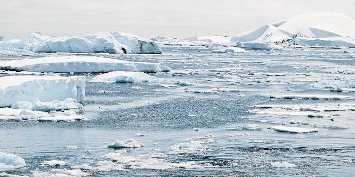 Antarctic Sea Ice Took a Record Plunge in 2014