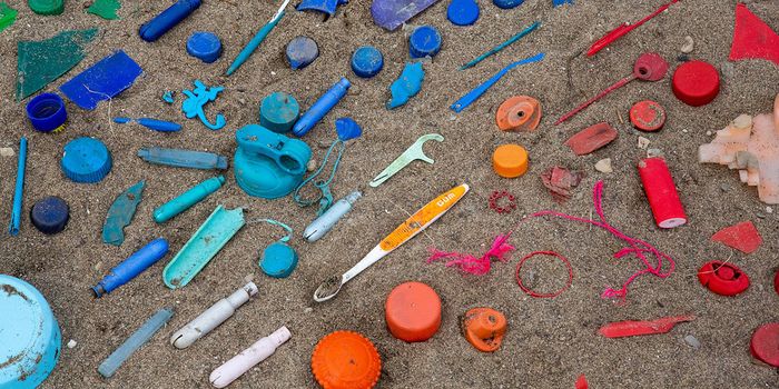 Examining Plastic Pollution in Antarctica