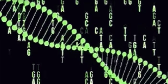 A Record-Shattering 13,200 Edits Made in a Single Cell