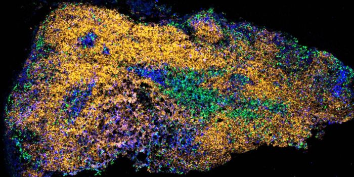 Learning More About Boosting Immunity in Older Adults