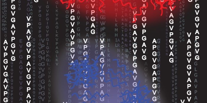 Duke Develops Proteins That Assemble and Disassemble